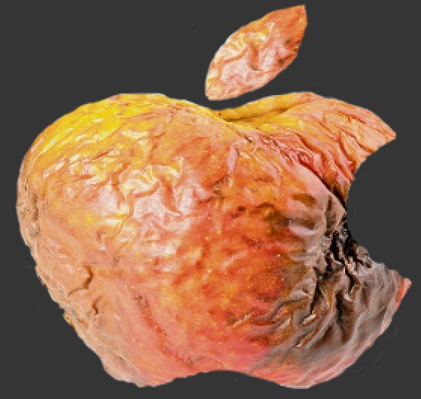 Apple options trading blog