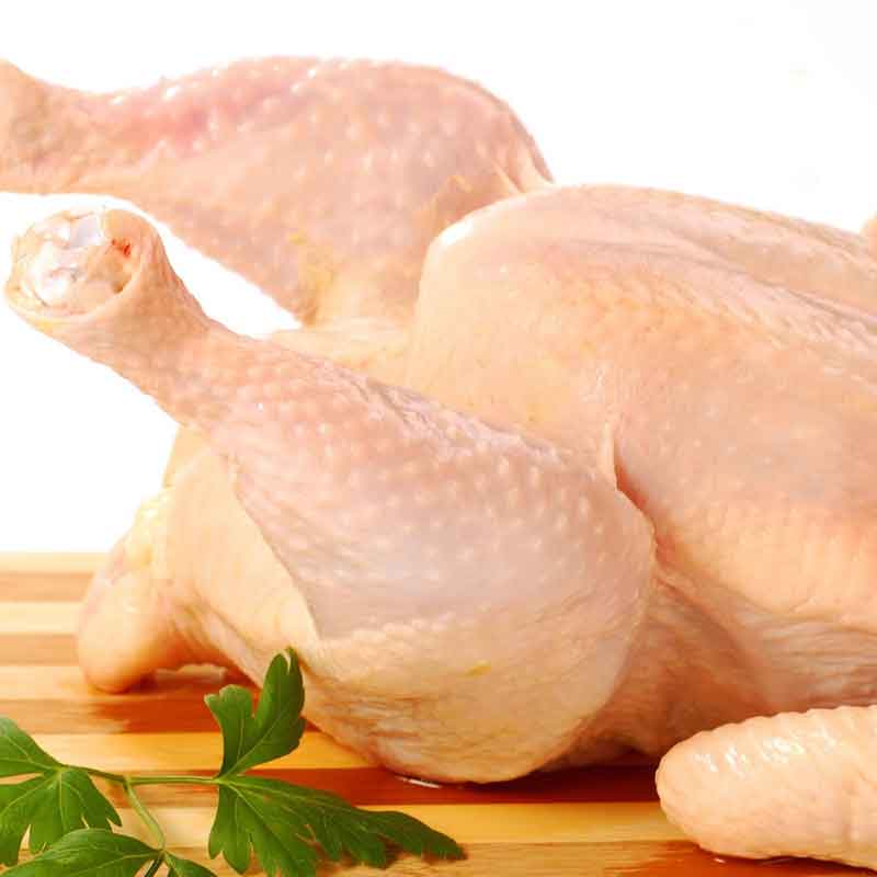 Ayam Dingin Segar Ayam Dingin Segar