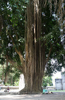 sendang tirta kamandanu