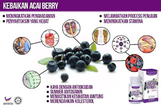 ACAI BERRY PLUS ACAI BERRY PLUS