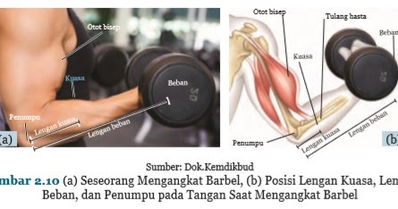 Prinsip Pesawat Sederhana Dalam Gerak Manusia