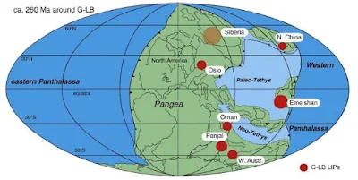 Large Igneous Provinces Linked to Extinction Events