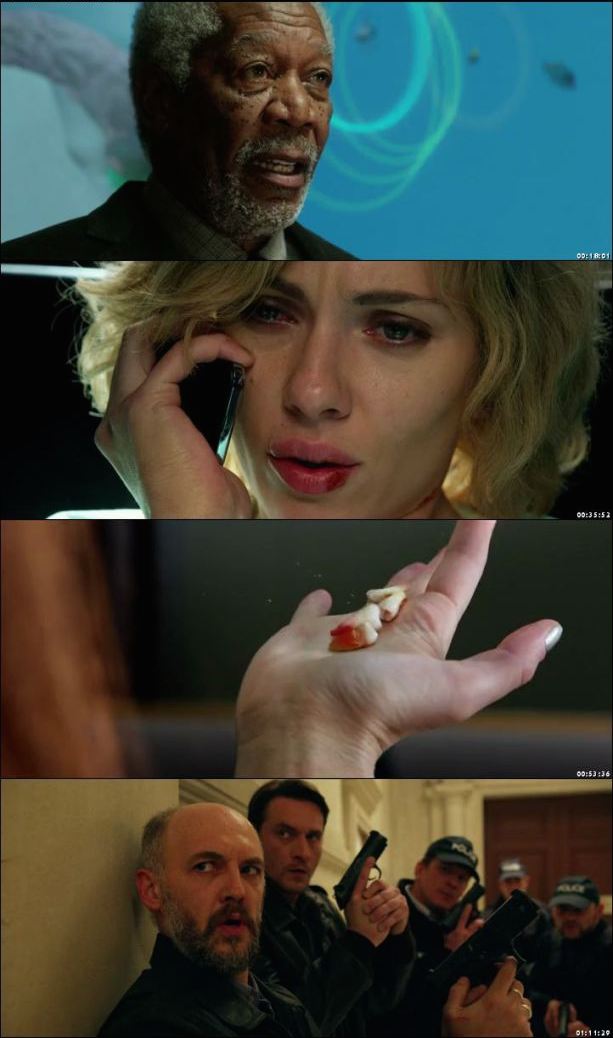 Lucy 2014 Dual Audio BRRip 480p Lucy 2014 Dual Audio BRRip 480p