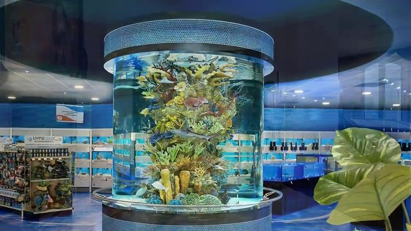 Aquarium Mewah