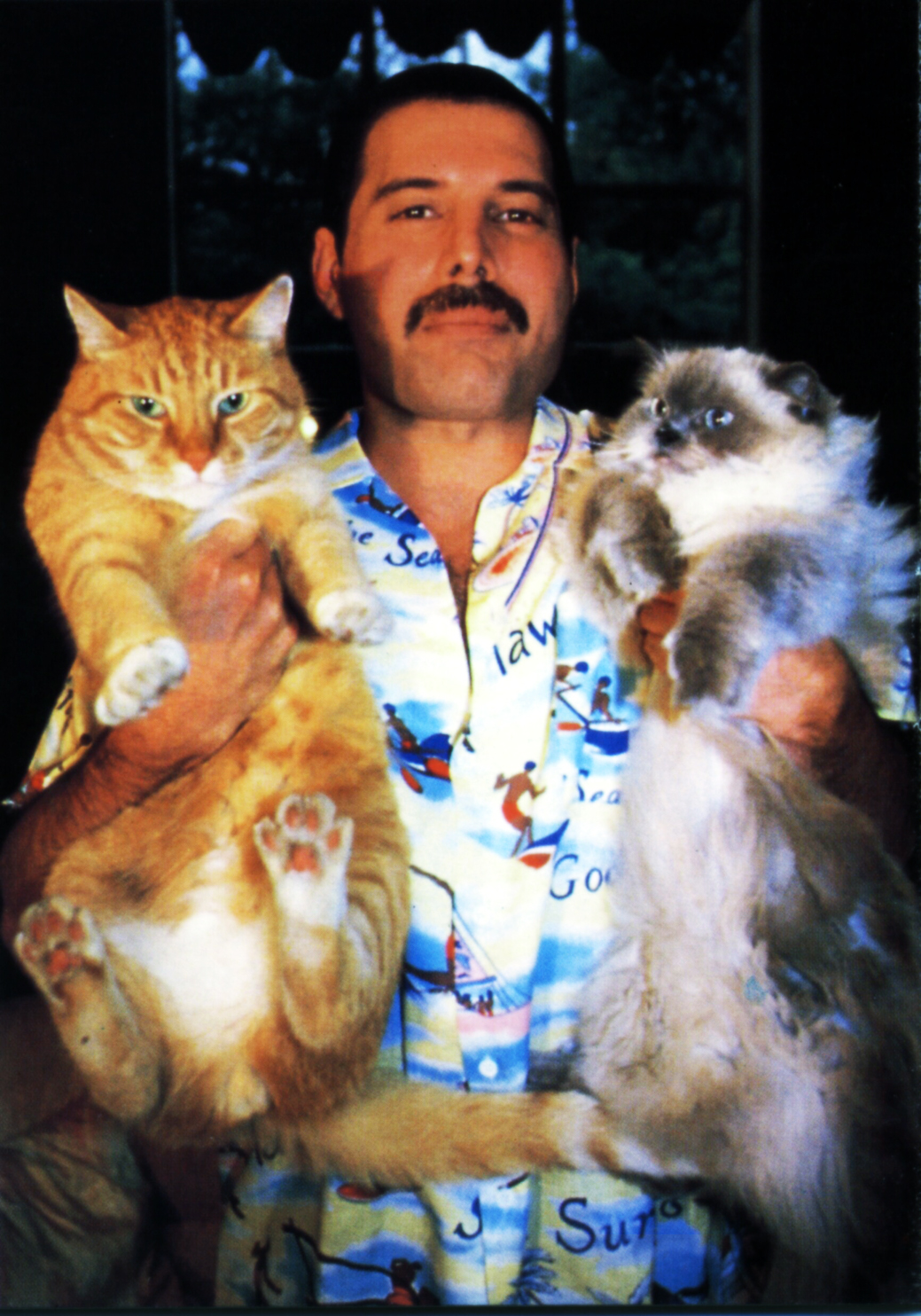 Freddie Mercury Died 25 Years Ago Today 23 Amazing Facts About the