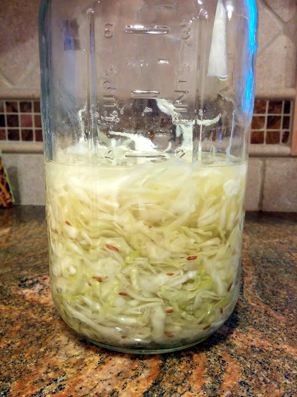 Sauerkraut from scratch?