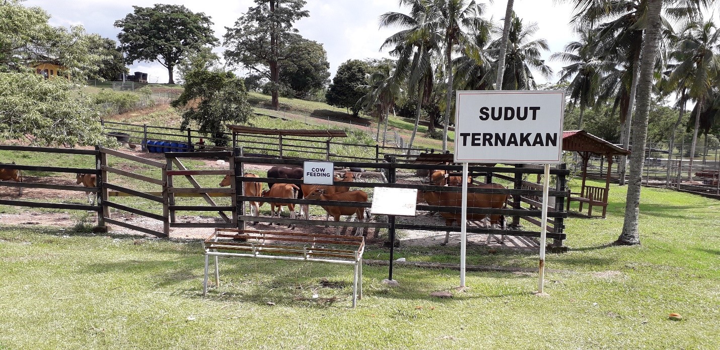 Mohd Faiz bin Abdul Manan Melaka Tropical Fruit Farm