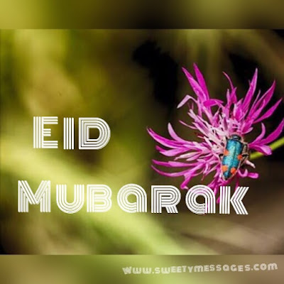 eid mubarak cards
