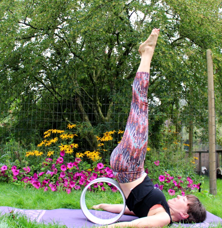 Yoga with a wheel + a giveaway! Farm Girl
