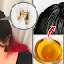 Easy Ways To Remove Lice In Just 15 Minutes and Remove Dandruff Naturally