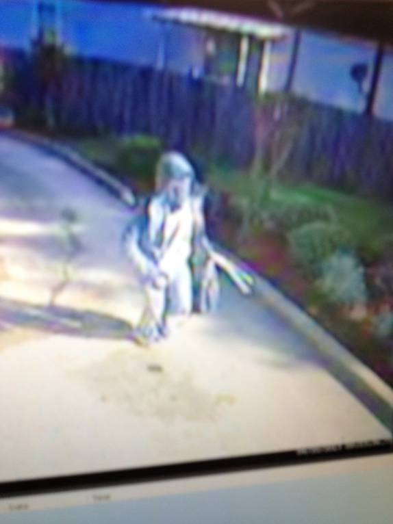 Jackson Jambalaya Reward for Puckett bank robber