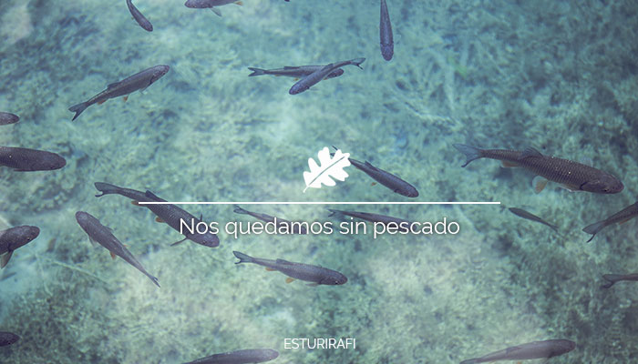 Nos quedamos sin pescado