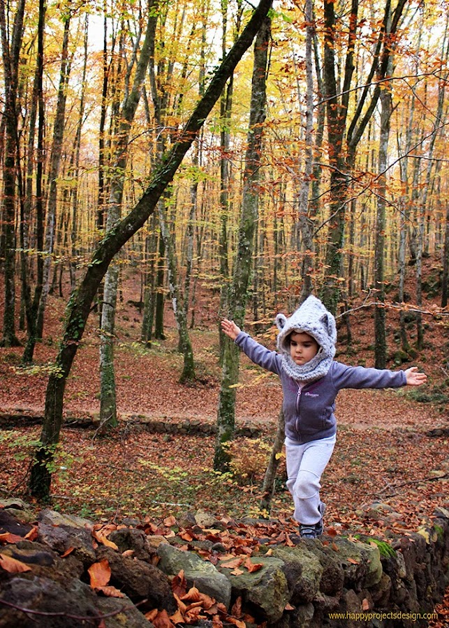 otoño en la fageda d
