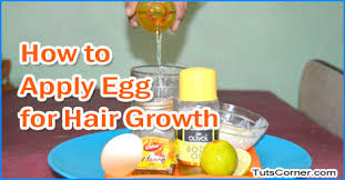 http://www.popnews.com.ng/2017/11/see-3-ways-to-use-eggs-for-faster-hair.html