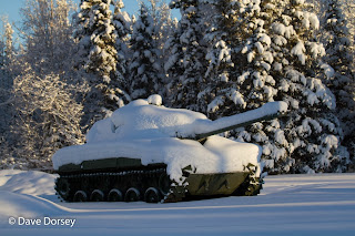 How do you discount the cost of freedom?