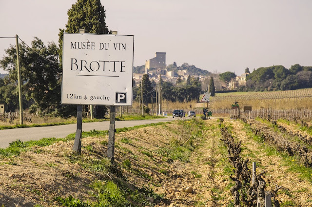 Vinuri Châteauneuf-du-Pape Franta