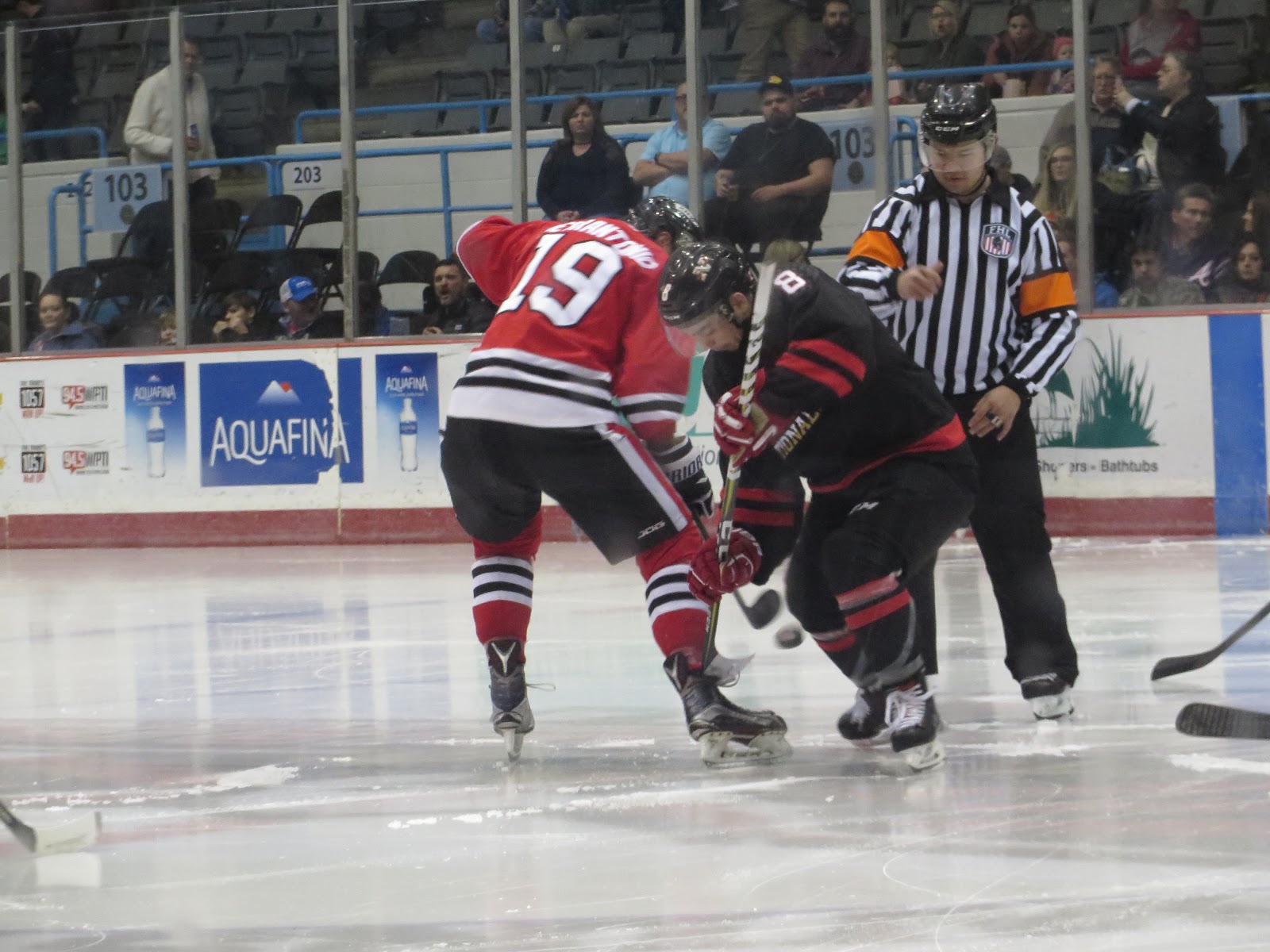 Minor League Matters Carolina Thunderbirds We Do Hockey Here