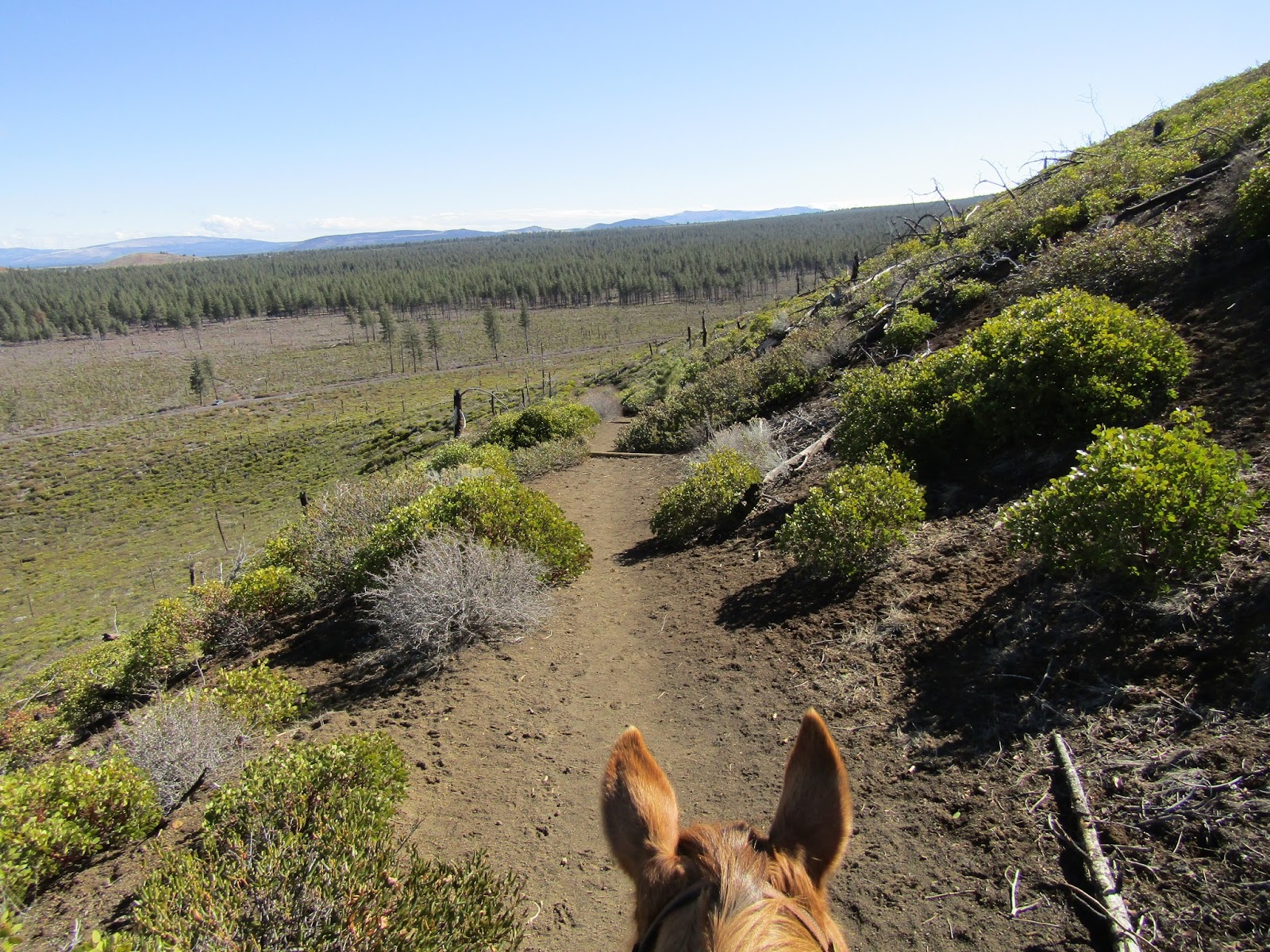 Holly's Horse Tales and Trails Bessie Butte and Horse Butte, Deschutes National Forest, Oregon