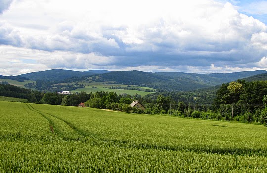 Zlatohorská vrchovina z szosy w Podlesiu.