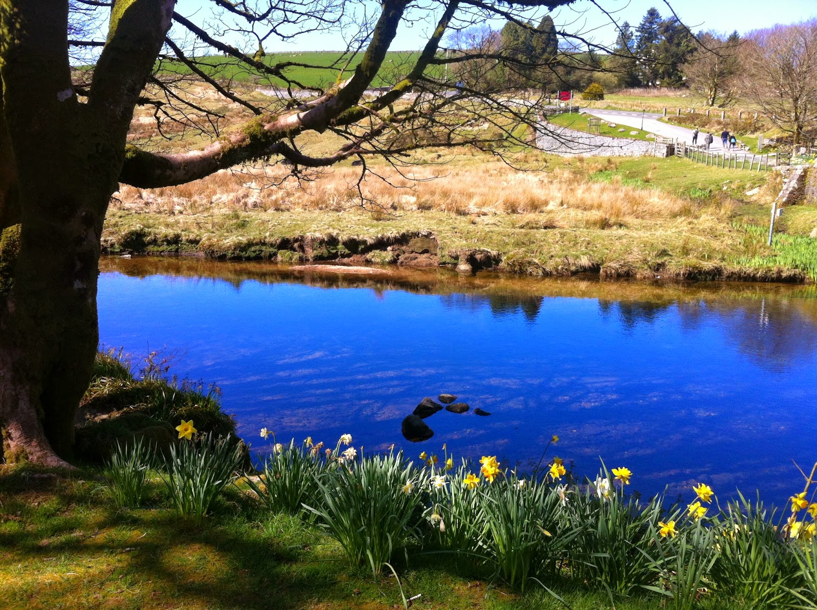 Easter in Cornwall Visiting Padstow and Port Isaac A Little Further