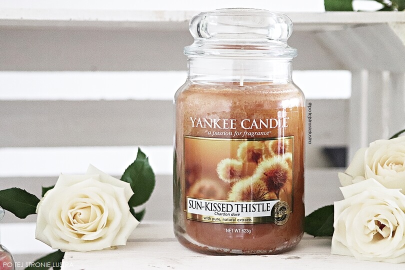 sun kissed thistle yankee candle