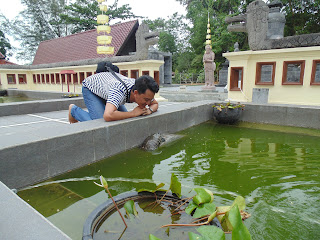 taken by Johan
