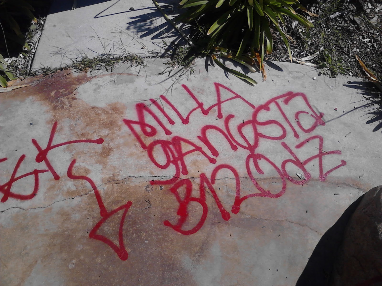 blood piru brims gangs graffiti Miller gangster blood