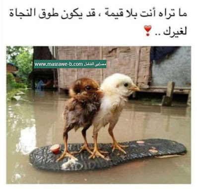 صور حلوة معبرة جدا صور حلوة معبرة جدا