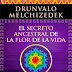 eBook - El Antiguo Secreto de la Flor de la Vida