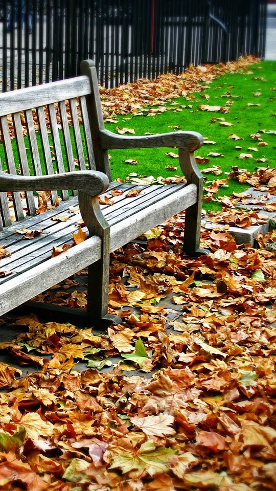 Autumn Leaves Bench  Android Best Wallpaper