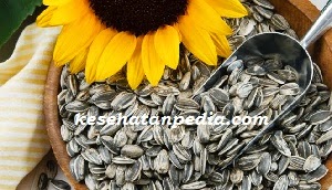 manfaat biji bunga matahari