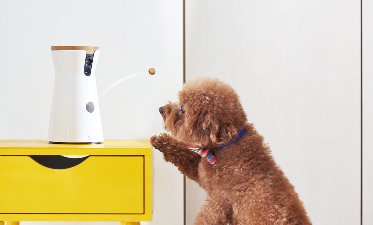 Furbo Dog Camera Launches In Australia Australian Dog Lover Furbo Dog Camera Launches In Australia Australian Dog Lover
