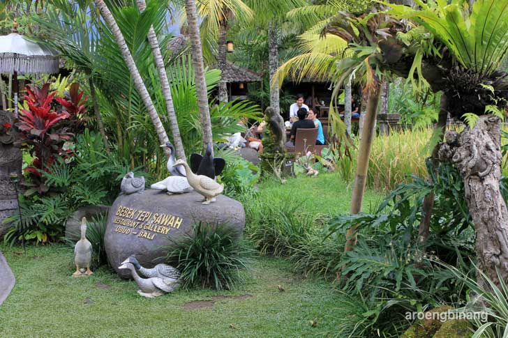 bebek tepi sawah ubud