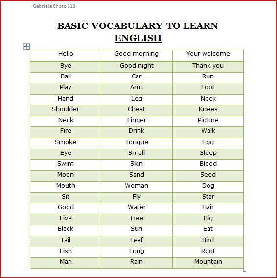 Basic Vocabulary Words For Esl Beginners