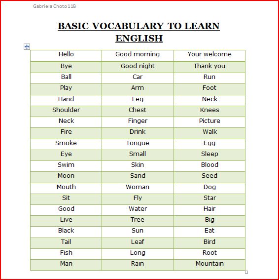 Esl Vocabulary Lists For Beginners Pdf
