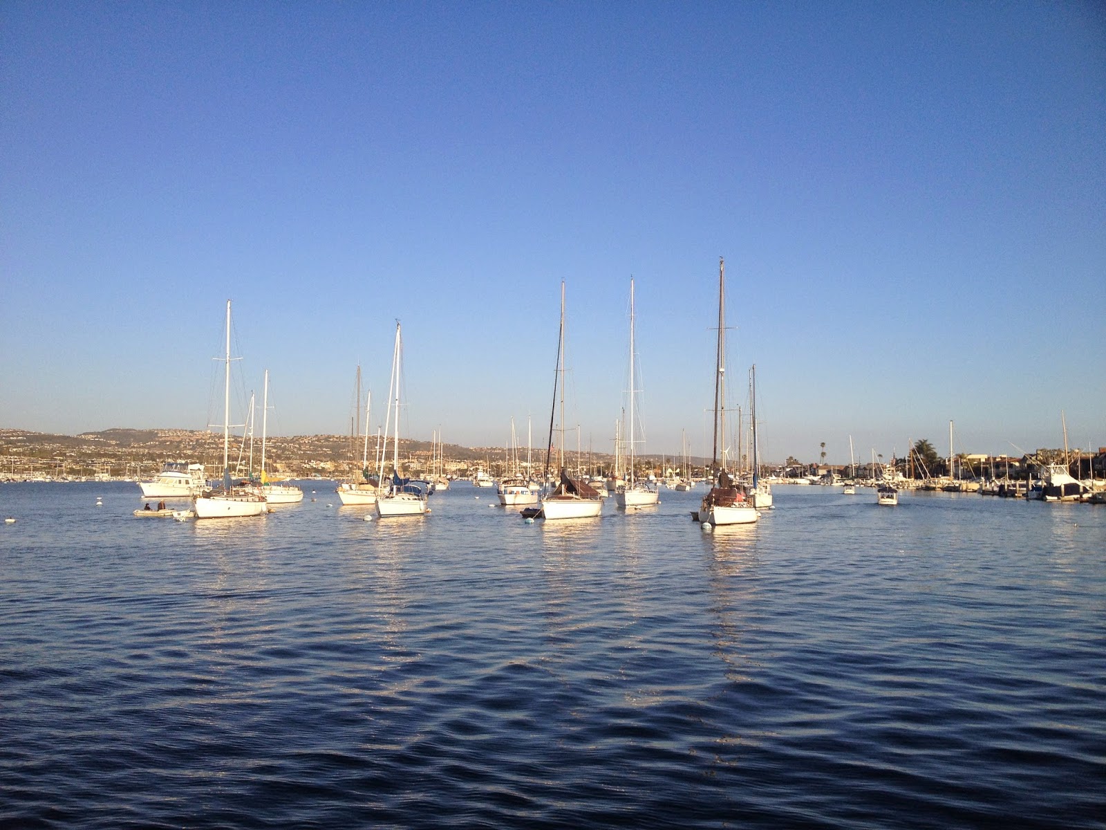 Sailboats in Balboa Harbor - Newport Beach, CA