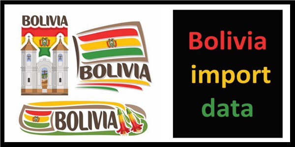 What you get to know from Bolivia import data What you get to know from Bolivia import data