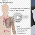 Why You Can't Get Enough Sleep Everynight And The Dangers It Brings