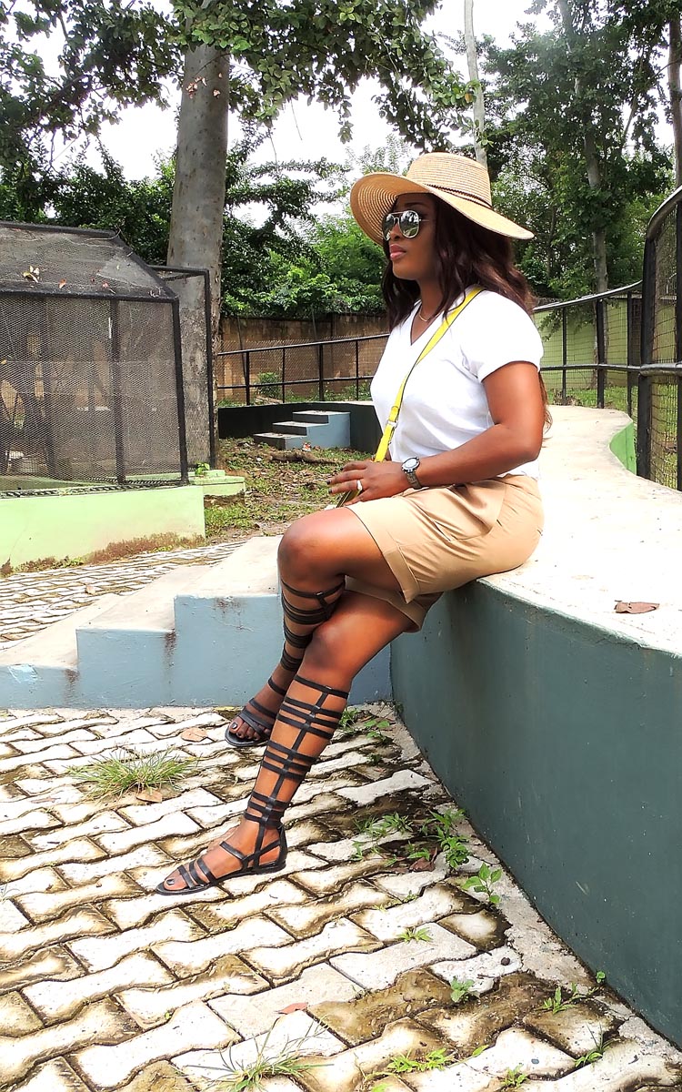 Essay on my visit to ibadan zoo picture