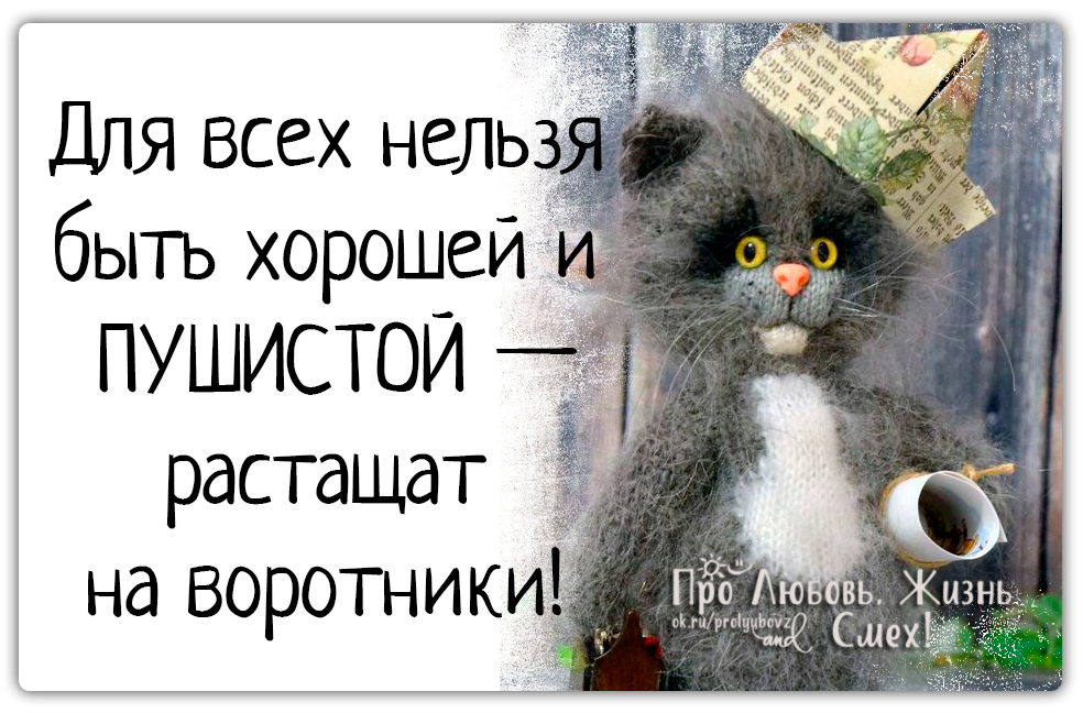Не такой как все цитаты. Как все картинки. Для всех нельзя быть пушистой растащат на воротники картинка. Нельзя быть для всех хорошей. Статус про живи в свое удовольствие.