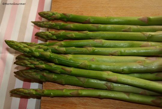 Espárragos trigueros HortoGourmet