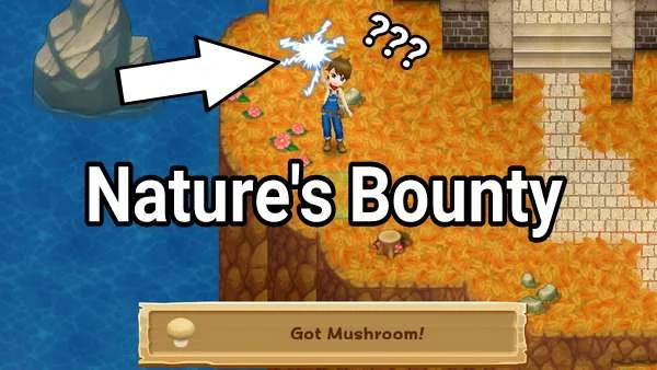 Nature's Bounty HM: LoH Guide