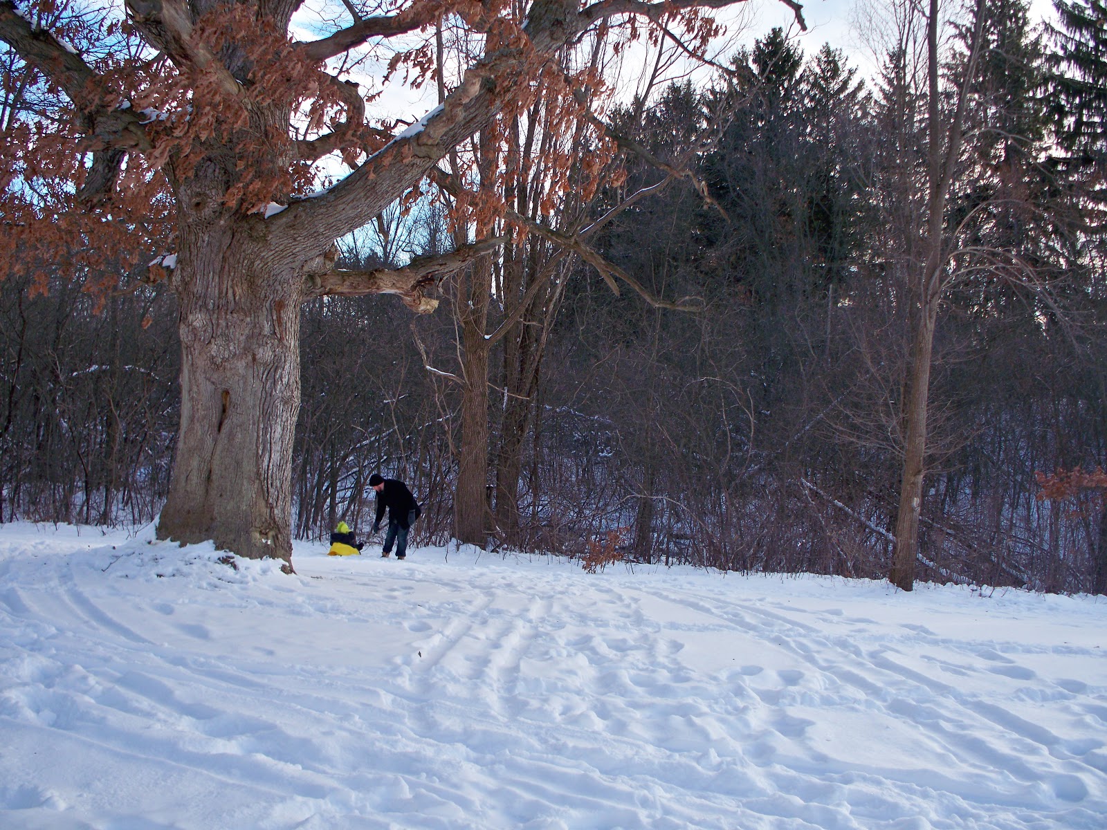 snow + sleds. Kendall Rayburn