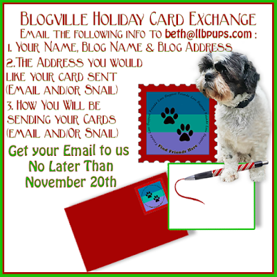 Holiday Card Exchange