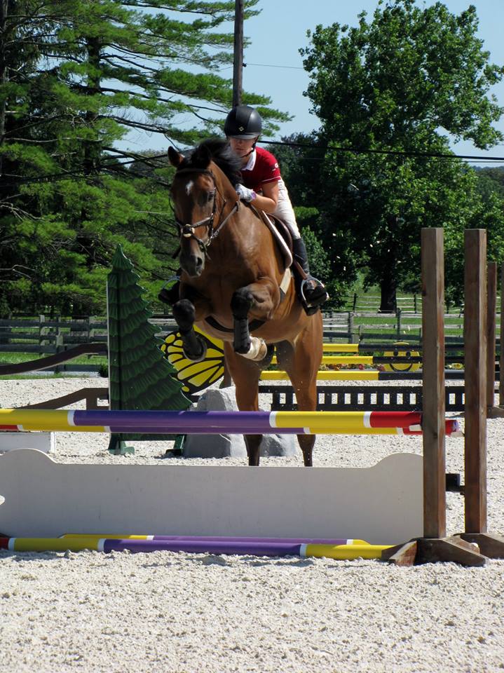 MK EQUESTRIAN Ready to compete? Need a horse?