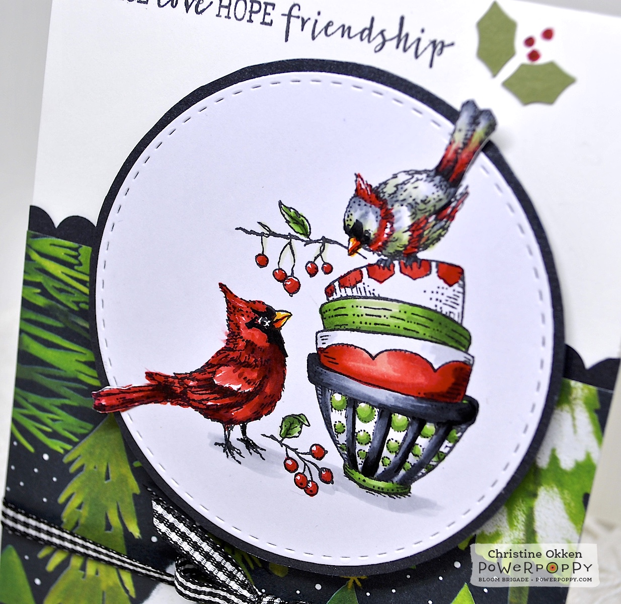 ChristineCreations: Using Power Poppy Packaging