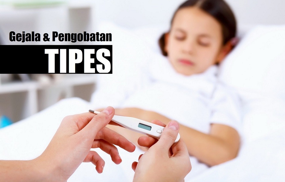 Ciri Ciri,Gejala,Penyebab Penyakit Tipes & Obat Herbalnya Ciri Ciri,Gejala,Penyebab Penyakit Tipes & Obat Herbalnya
