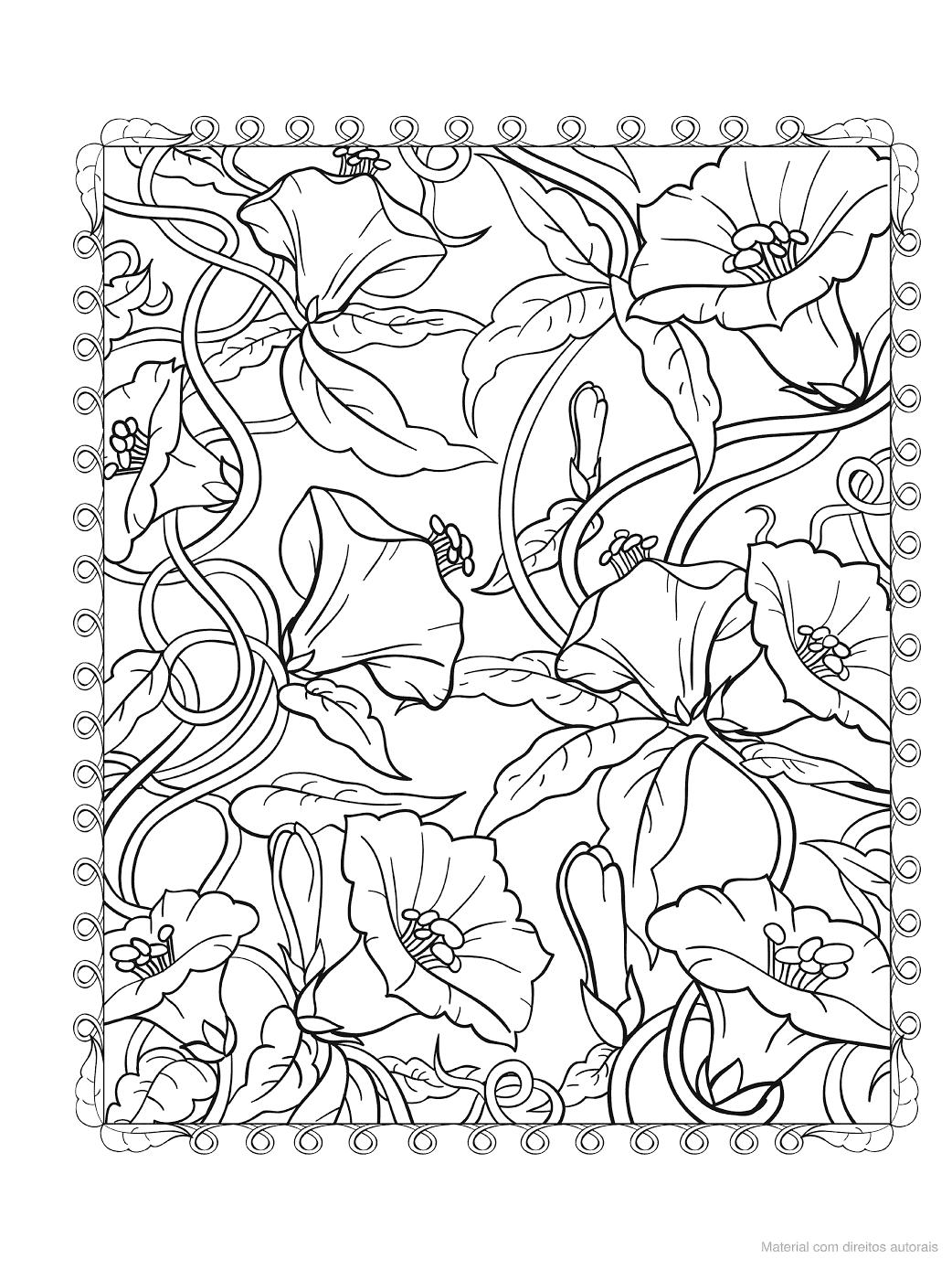 Creative Haven Floral Designs Livros Para Colorir