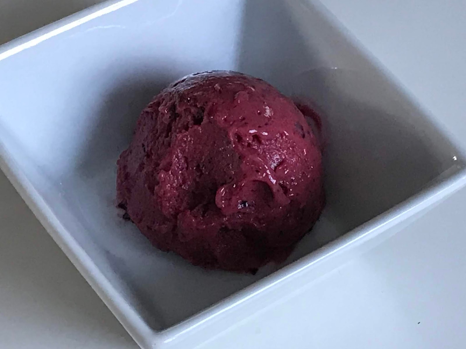 Family FECS Magimix Power Blender (Le Blender 11626SK) vs Vitamix