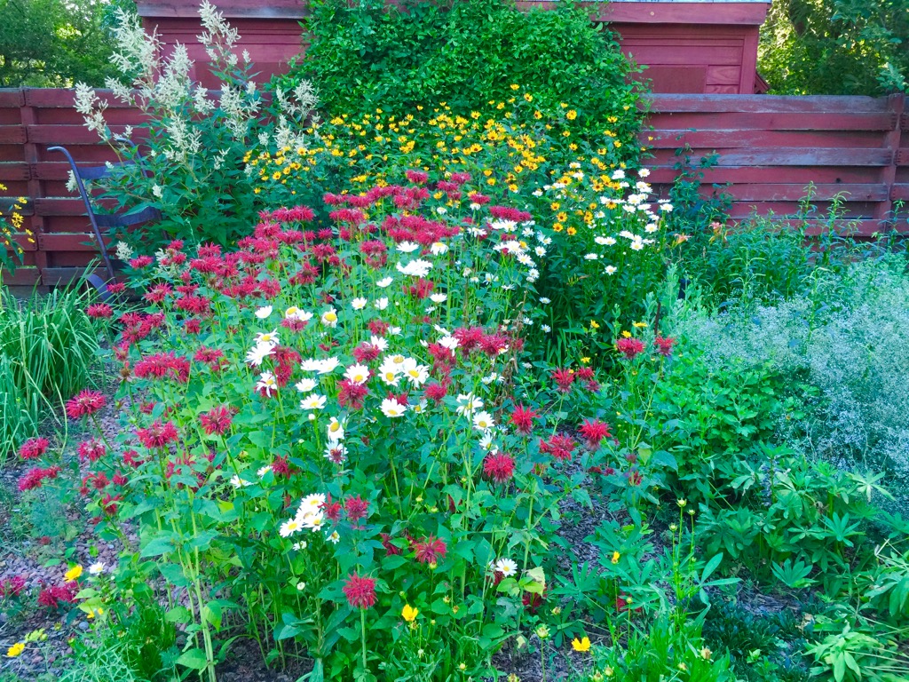 JeffCo Master Gardeners Protecting Perennials in the Winter by Donna Duffy